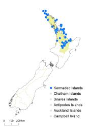 Psilotum nudum distribution map based on databased records at AK, CHR and WELT.
 Image: K. Boardman © Landcare Research 2014 CC BY 3.0 NZ